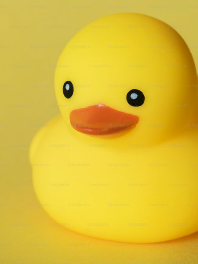 Test Product 202602251639